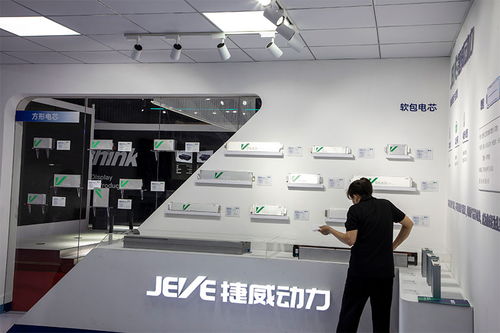 天津電池廠停產潮起，日用品批發(fā)視角下的2024年行業(yè)白熱化競爭